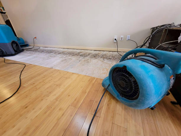 Professional Burst Pipe Water Damage technician working in West Roxbury, MA